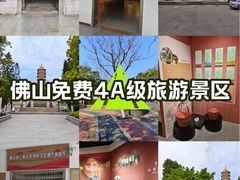 -三水森林公园