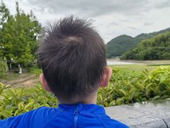-宁波九龙湖开元度假村