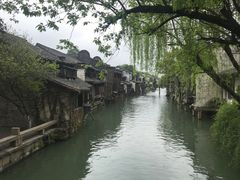 -乌镇西栅景区