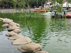 -莲湖公园