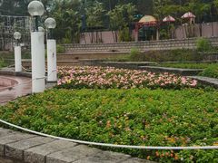 -九龙公园