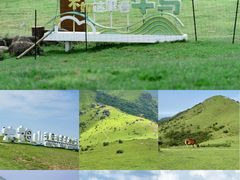 -大姆山草场