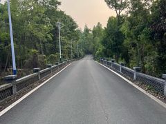 -青龙山国家森林公园