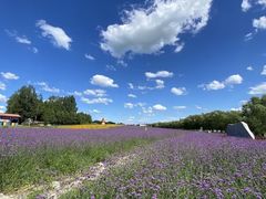 -北纬44度·金珠花海休闲农业旅游景区