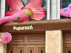 -帕帕拉兹宠物(亚洲旗舰店)