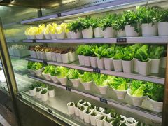 -V-ONE西雅图海鲜自助餐厅(仓山万达广场店)