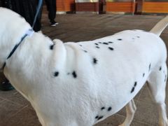 -新疆民族团结羊肉串(锦江区店)