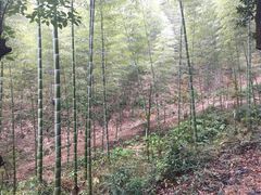 -仙霞关景区