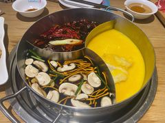 -青瓷火锅料理(西单大悦城店)