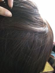 -达芬尼斯Davines