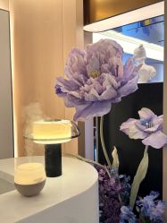 -蘭FACE·海菲秀飞顿Med SPA
