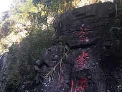 -溪口-滕头旅游景区