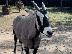 -大连森林动物园