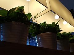 -肯德基(天津奥城店)
