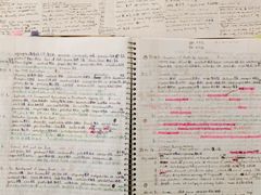 -JT PREP国际学科课程·IB·AP·Alevel(陆家嘴校区)