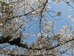 -苏州河梦清园环保主题公园