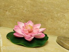 -绍兴鉴湖君澜大酒店