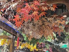 -城墙拐拐火锅(三峡广场黑金冠店)