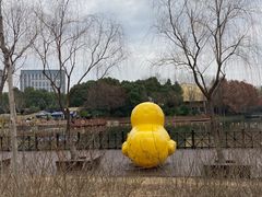 -自然谷恐龙园
