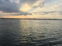-丁香湖公园