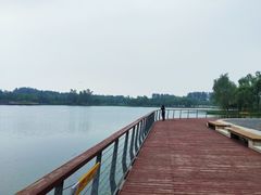 -东郊湿地公园