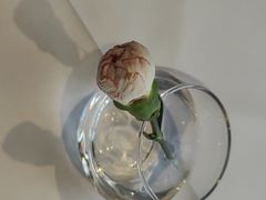 -眉州东坡(石景山店)