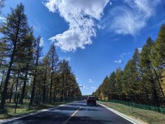 -塞罕坝国家级自然保护区