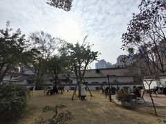 -塔子山公园