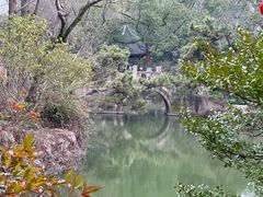 -上海醉白池公园