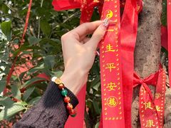 -长春观