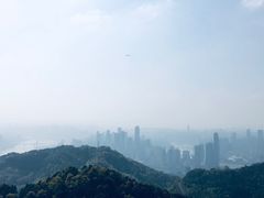 -大金鹰园
