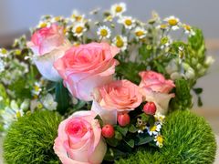 -南堂馆·新川菜(春熙路店)