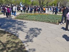 -长春公园(普阳街道)