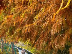 -西溪国家湿地公园