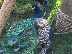 -云南艺术学院(呈贡校区)