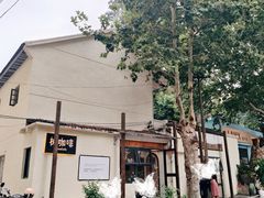 -树咖啡tree coffee