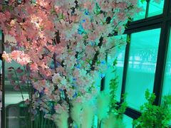 -野妹火锅(龙岗店)