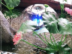 -嗣林·爷爷的私房菜(湾里店)