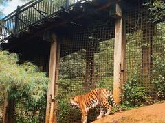 -云南野生动物园