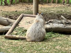 -云南野生动物园