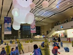 -冰纷万象滑冰场(沈阳万象城店)