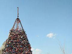 -帽儿山国家森林公园