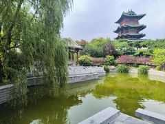 -迎泽公园