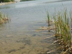 android_upload_pic-十三陵水库