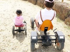 -田园东方蜜桃村的田野营地
