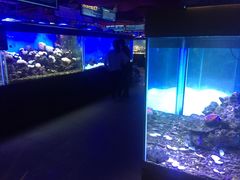 -御唐府海珊瑚主题餐厅