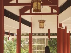 -三水森林公园