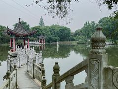 -青龙山国家森林公园