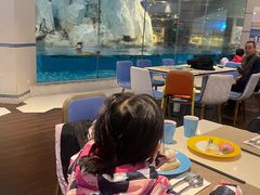 -帝企鹅自助餐厅•儿童岛•真企鹅(长隆企鹅酒店)