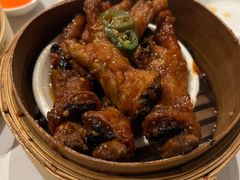 -食为先(Shark Fin)